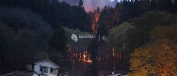 Sute de pompieri luptă contra incendiilor forestiere în nordul Japoniei