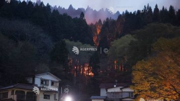 Sute de pompieri luptă contra incendiilor forestiere în nordul Japoniei