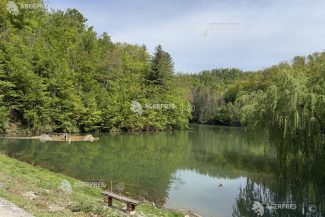 Bihor: Lacul Vida de la Dobrești a fost revitalizat printr-un proiect european de peste 9 milioane de lei (GALERIE FOTO)