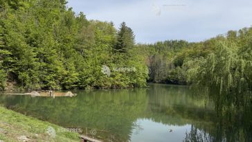 Bihor: Lacul Vida de la Dobrești a fost revitalizat printr-un proiect european de peste 9 milioane de lei (GALERIE FOTO)