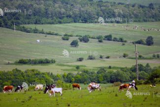Ministerul Mediului: Acreditarea ideii că fermierii ar urma să fie excluși din zonele prioritare pentru biodiversitate reprezintă o dezinformare