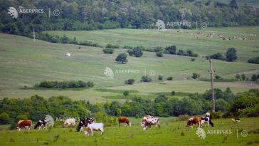 Ministerul Mediului: Acreditarea ideii că fermierii ar urma să fie excluși din zonele prioritare pentru biodiversitate reprezintă o dezinformare