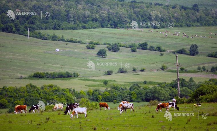Ministerul Mediului: Acreditarea ideii că fermierii ar urma să fie excluși din zonele prioritare pentru biodiversitate reprezintă o dezinformare