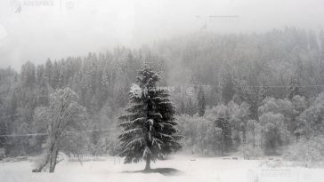 Știri de azi | ANM: Precipitații mixte la munte, în estul și sudul Transilvaniei, cu ninsori la peste 1.400 metri, până vineri dimineața - Știri de azi | 