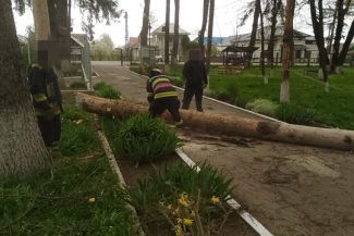 Suceava: Peste 20 de intervenţii la situaţii de urgenţă provocate de vântul puternic, în mai puţin de cinci ore. Mii de gospodării, fără energie electrică