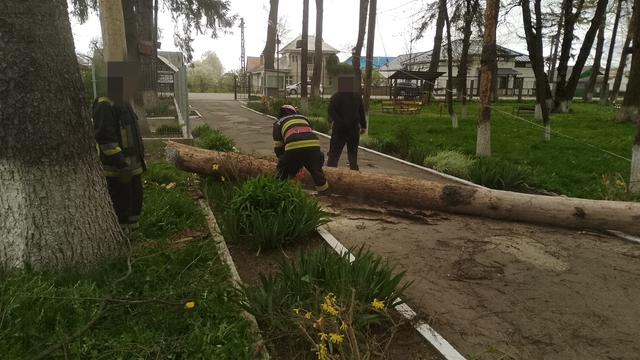 Suceava: Peste 20 de intervenţii la situaţii de urgenţă provocate de vântul puternic, în mai puţin de cinci ore. Mii de gospodării, fără energie electrică