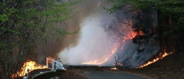 Evacuări în nordul Japoniei, din calea unor incendii de pădure care se apropiau de un orăşel
