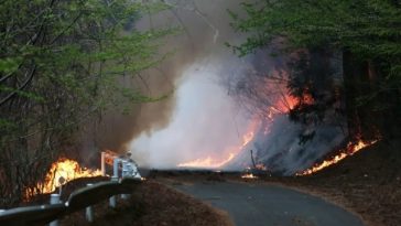 Evacuări în nordul Japoniei, din calea unor incendii de pădure care se apropiau de un orăşel