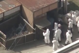 Un angajat al unei grădini zoologice din Japonia mărturiseşte că şi-a ucis soţia şi i-a ars cadavrul în incineratorul grădinii ”timp de câteva ore”