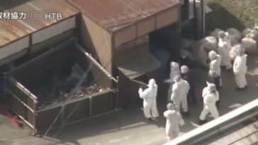 Un angajat al unei grădini zoologice din Japonia mărturiseşte că şi-a ucis soţia şi i-a ars cadavrul în incineratorul grădinii ”timp de câteva ore”