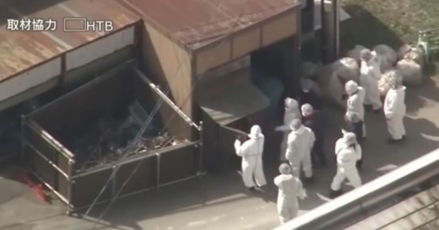 Un angajat al unei grădini zoologice din Japonia mărturiseşte că şi-a ucis soţia şi i-a ars cadavrul în incineratorul grădinii ”timp de câteva ore”