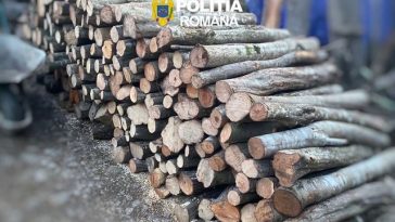 Peste 20 de percheziţii în două comune şi un oraş din Mureş, într-un dosar penal vizând infracţiuni silvice/ Două reţineri, şase mandate de aducere şi confiscări de lemne şi echipamente