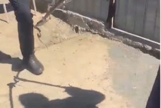 Tulcea: Jandarmii au scos un şarpe din compartimentul motor al unui autoturism, unde se ascunsese în zona grilei de aerisire / El a fost eliberat apoi în mediul natural – VIDEO