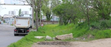 Mii de locuitori din Sectorul 3 cer amenajarea Parcului Pallady, lângă staţia de metrou Nicolae Teclu: Primăria Capitalei confirmă nevoia de noi spaţii verzi publice în zonă, dar administraţia publică întârzie să acţioneze