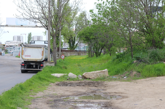 Mii de locuitori din Sectorul 3 cer amenajarea Parcului Pallady, lângă staţia de metrou Nicolae Teclu: Primăria Capitalei confirmă nevoia de noi spaţii verzi publice în zonă, dar administraţia publică întârzie să acţioneze