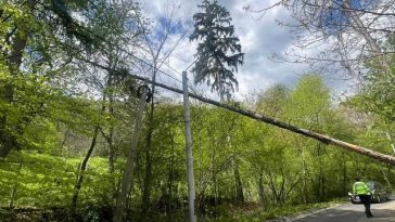 IGSU: Pompierii au intervenit, în ultimele 24 de ore, pentru îndepărtarea a peste 100 de arbori prăbuşiţi din cauza vântului /  Cele mai multe probleme, în judeţele Iaşi, Neamţ, Suceava şi Vaslui
