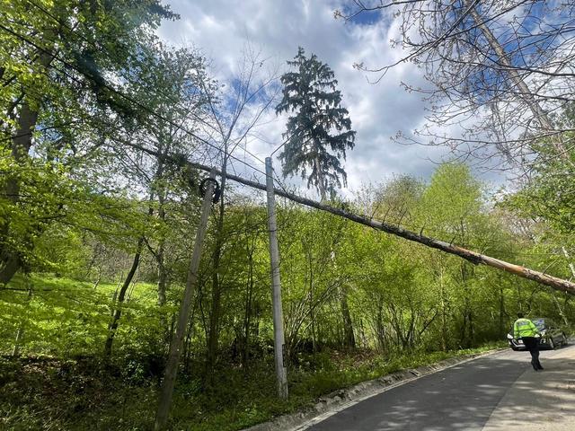 IGSU: Pompierii au intervenit, în ultimele 24 de ore, pentru îndepărtarea a peste 100 de arbori prăbuşiţi din cauza vântului /  Cele mai multe probleme, în judeţele Iaşi, Neamţ, Suceava şi Vaslui