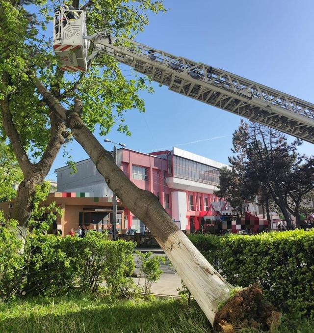 Efectele vijeliilor din ultimele 24 de ore: Un mort, trei răniţi, aproape 100 de imobile afectate, peste 35.000 de consumatori fără energie electrică/ Pompierii au intervenit în 72 de localităţi/ Cele mai afectate judeţe, Iaşi, Neamţ, Suceava şi Vaslui