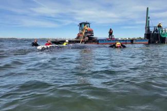 Operațiunea de remorcare a balenei ”Timmy” continuă miercuri în apele din largul coastelor Danemarcei