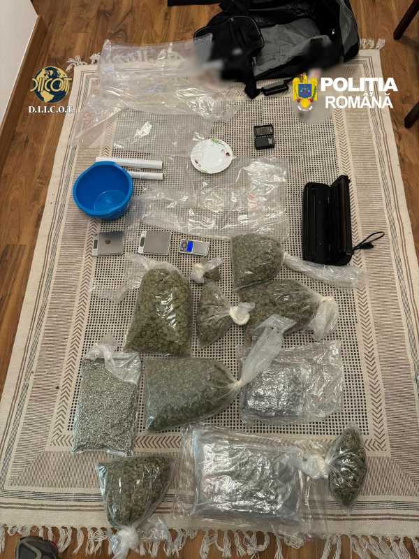 Tânăr româno-sirian, prins cu peste 11 kg de canabis în mașină; drogurile – destinate vânzării către consumatori de pe litoral
