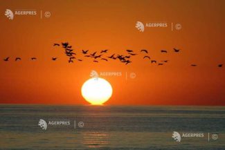 EFEMERIDE ASTRONOMICE – 2 mai