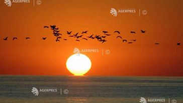 EFEMERIDE ASTRONOMICE – 2 mai