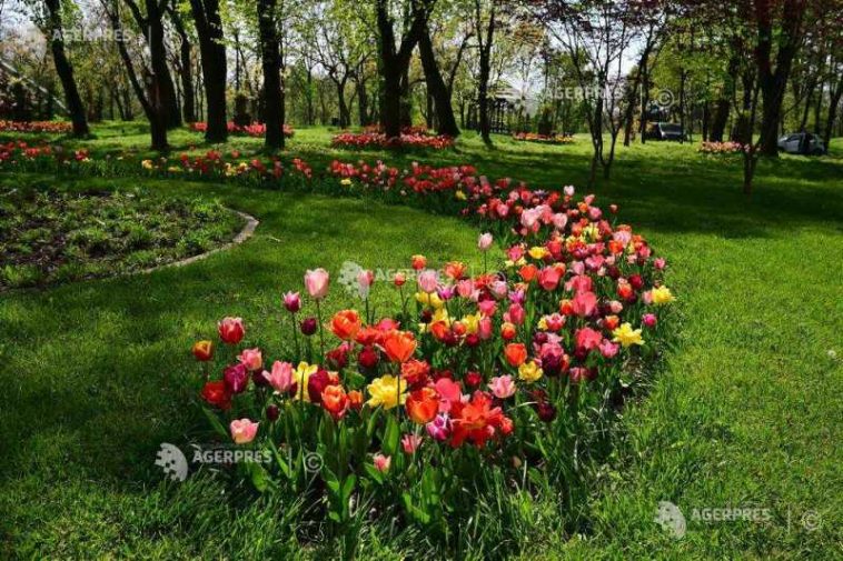 Dolj: Primăria Craiova a lansat licitația de aproape 47 milioane lei pentru înființarea Parcului Cernele