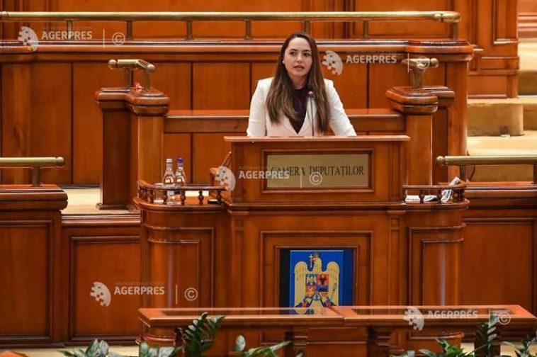 Parlament – moțiune de cenzură/ Gavrilă: Parlamentarii POT vor vota la vedere această moțiune