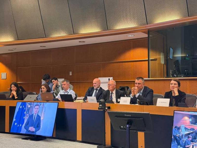 Dezbatere EANA găzduită de PE: Agențiile de presă, infrastructură critică a democrației UE în era inteligenței artificiale