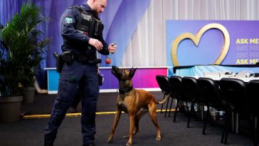 Pe fundalul unui boicot, Eurovision 2026 se va desfășura cu măsuri stricte de securitate la Viena