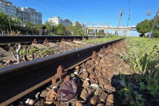 Buzău: Tone de deșeuri în zona căilor ferate; peisajul feroviar, o barieră de plastic și nepăsare