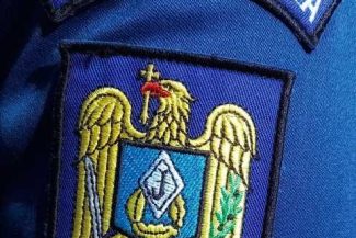 Mureș: Un pui de urs care a rămas blocat într-un copac, salvat de jandarmi