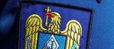 Mureș: Un pui de urs care a rămas blocat într-un copac, salvat de jandarmi