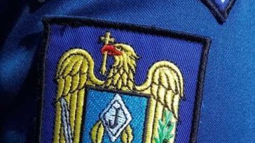 Mureș: Un pui de urs care a rămas blocat într-un copac, salvat de jandarmi