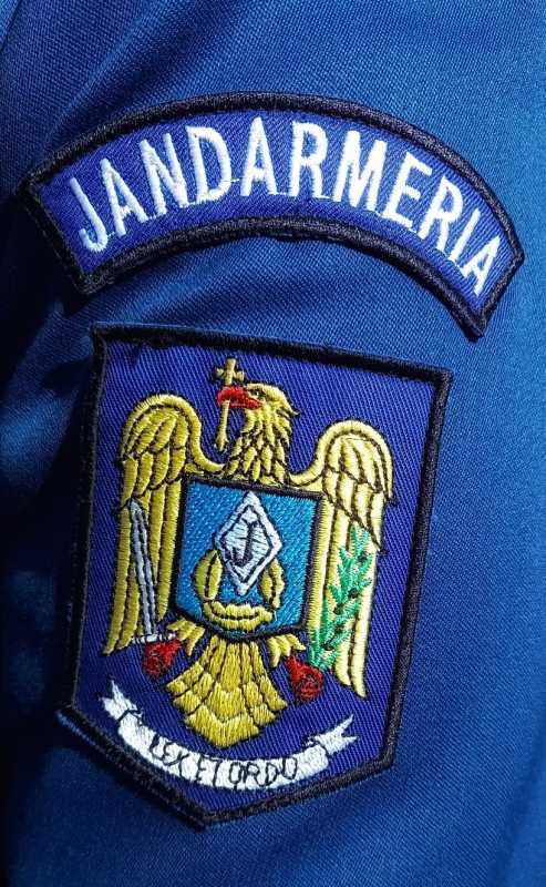 Mureș: Un pui de urs care a rămas blocat într-un copac, salvat de jandarmi