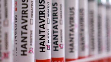 Hantavirus/ Până în prezent, ”nu se poate confirma originea contagiunii” (Ministerul Sănătății din Argentina)
