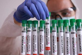 Marea Britanie anunță un al treilea caz al unui cetățean britanic suspect de infectare cu hantavirus
