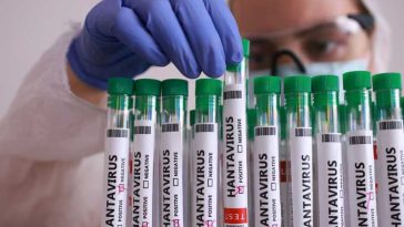 Marea Britanie anunță un al treilea caz al unui cetățean britanic suspect de infectare cu hantavirus