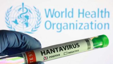 Experții OMS se grăbesc să scrie un ghid de recomandări pentru a limita primul focar de hantavirus apărut pe o navă