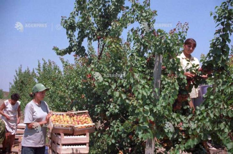 9 mai – Ziua mondială a comerțului echitabil