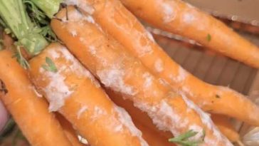 Arad: Direcția Agricolă verifică supermarket-urile, după ce directorul a găsit legume cu mucegai