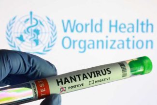 Hantavirus/ Recomandările formulate de OMS