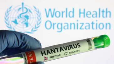 Hantavirus/ Recomandările formulate de OMS