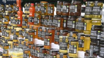 Târgul de Miere la Muzeul Satului: Produse apicole oferite spre degustare de apicultori din toată țara