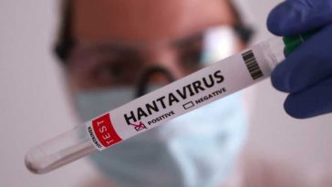 Hantavirus/ Nimic nu indică faptul că tulpina Anzi ar fi suferit o mutație, anunță ECDC