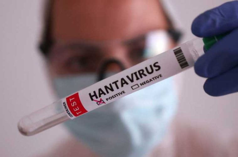 Hantavirus/ Nimic nu indică faptul că tulpina Anzi ar fi suferit o mutație, anunță ECDC