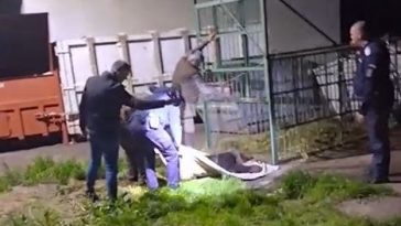 VIDEO Prahova: Urs capturat în incinta Școlii de Agenți de Poliție de la Câmpina, într-o cușcă special amplasată; va fi relocat