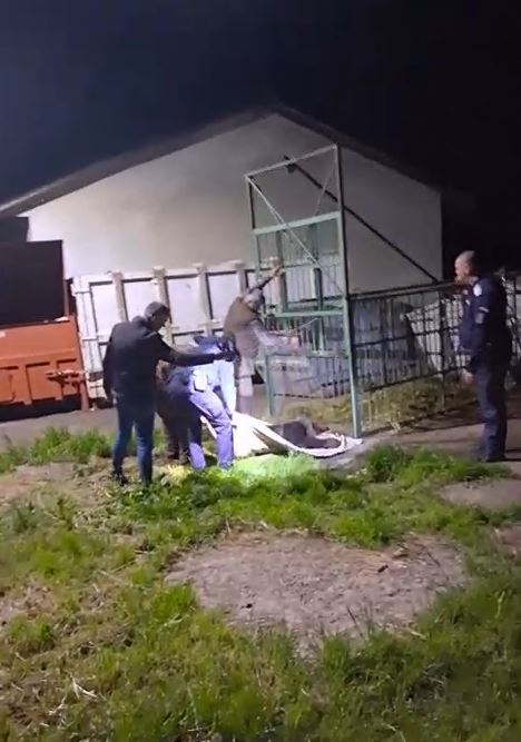 VIDEO Prahova: Urs capturat în incinta Școlii de Agenți de Poliție de la Câmpina, într-o cușcă special amplasată; va fi relocat