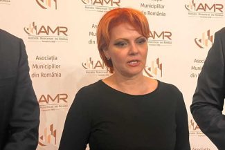 Olguța Vasilescu: Vom vorbi despre reformă administrativă când se va face regionalizarea