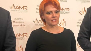 Olguța Vasilescu: Vom vorbi despre reformă administrativă când se va face regionalizarea